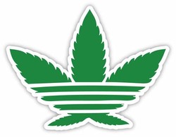 Adidas marijuana