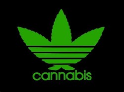 Adidas marijuana