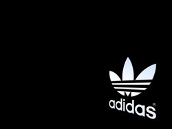 Adidas picture