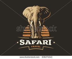 African safari