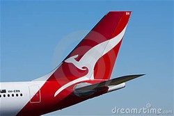 Airline kangaroo