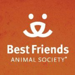 Animal friends