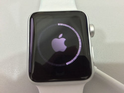 Apple watch stuck on