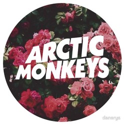 Arctic monkeys