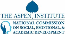 Aspen institute