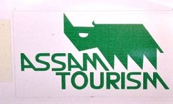 Assam oil