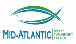 Atlantic council