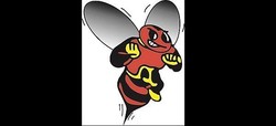 Baldwinsville bees