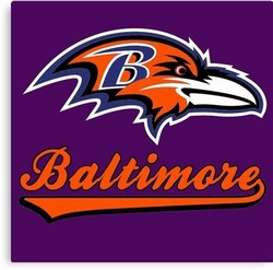 Baltimore ravens bird