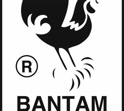 Bantam books