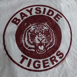 Bayside tigers