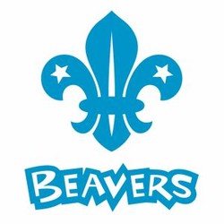 Beaver scout