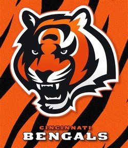 Bengals nfl
