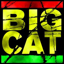 Big cat