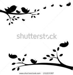 Birds on a branch