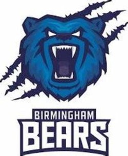 Birmingham bears