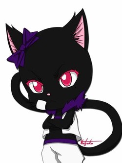 Black cat anime