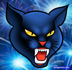 Black cat fireworks