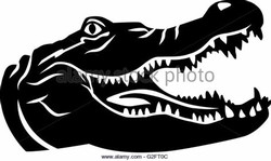 Black crocodile