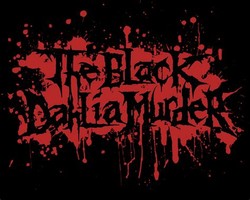 Black dahlia murder