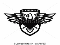 Black lined eagle