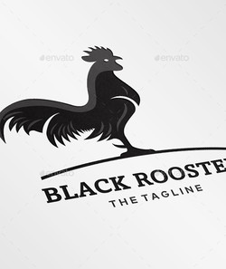 Black rooster