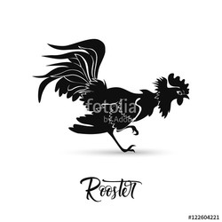 Black rooster