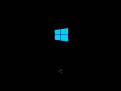 Black screen after windows