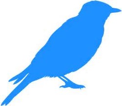 Blue bird silhouette