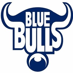 Blue bulls