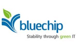 Blue chip company