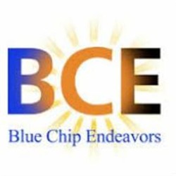 Blue chip company