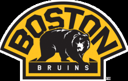 Boston bruins new