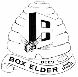 Box elder bees