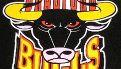 Bradford bulls