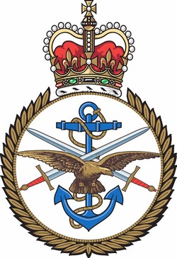British navy