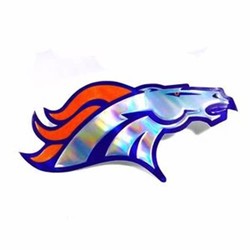 Broncos team