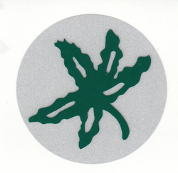 Buckeye leaf