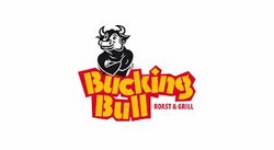Bucking bull