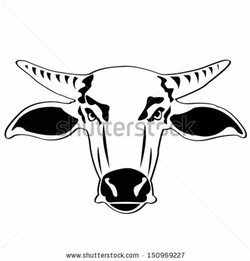 Buffalo head