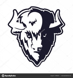 Buffalo vector