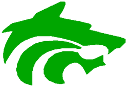 Buford wolves