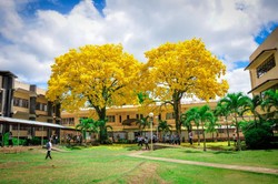 Bukidnon state university