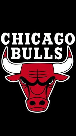 Bulls basketball