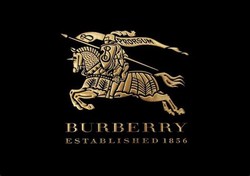 Burberry knight