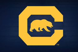 Cal bears