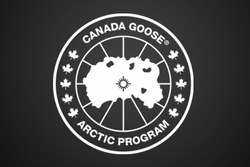 Canada goose black label
