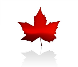 Canada leaf