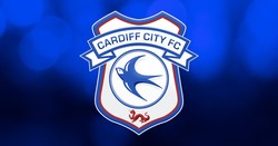 Cardiff city