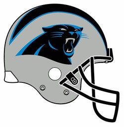 Carolina panthers helmet